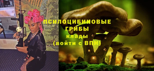 mdpv Надым