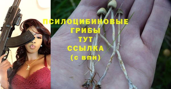 прущая мука Аша