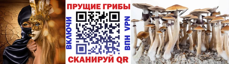 Галлюциногенные грибы ЛСД Щёлково